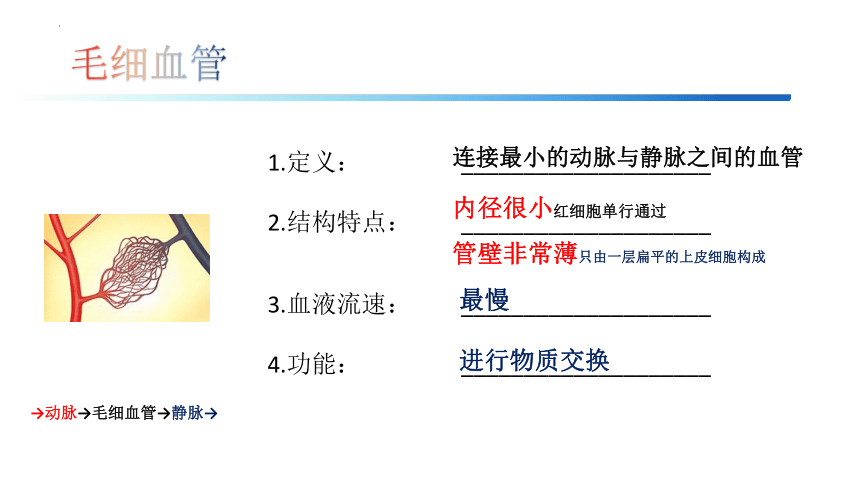 4.4.2血流的管道——血管课件 (共17张PPT)七年级人教版生物下册