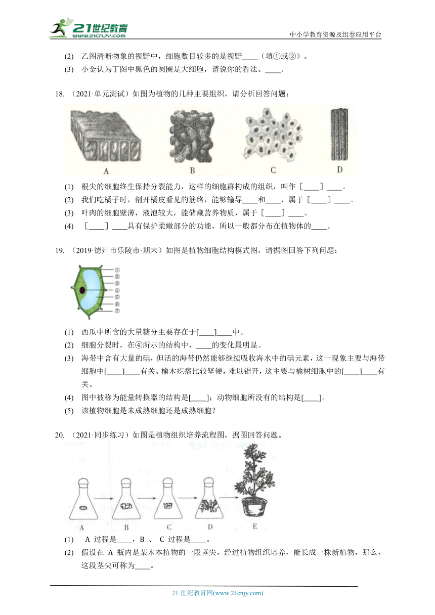 2023-2024学年初中生物济南版七年级上册1.2观察生物结构章节同步练习（答案+解析）