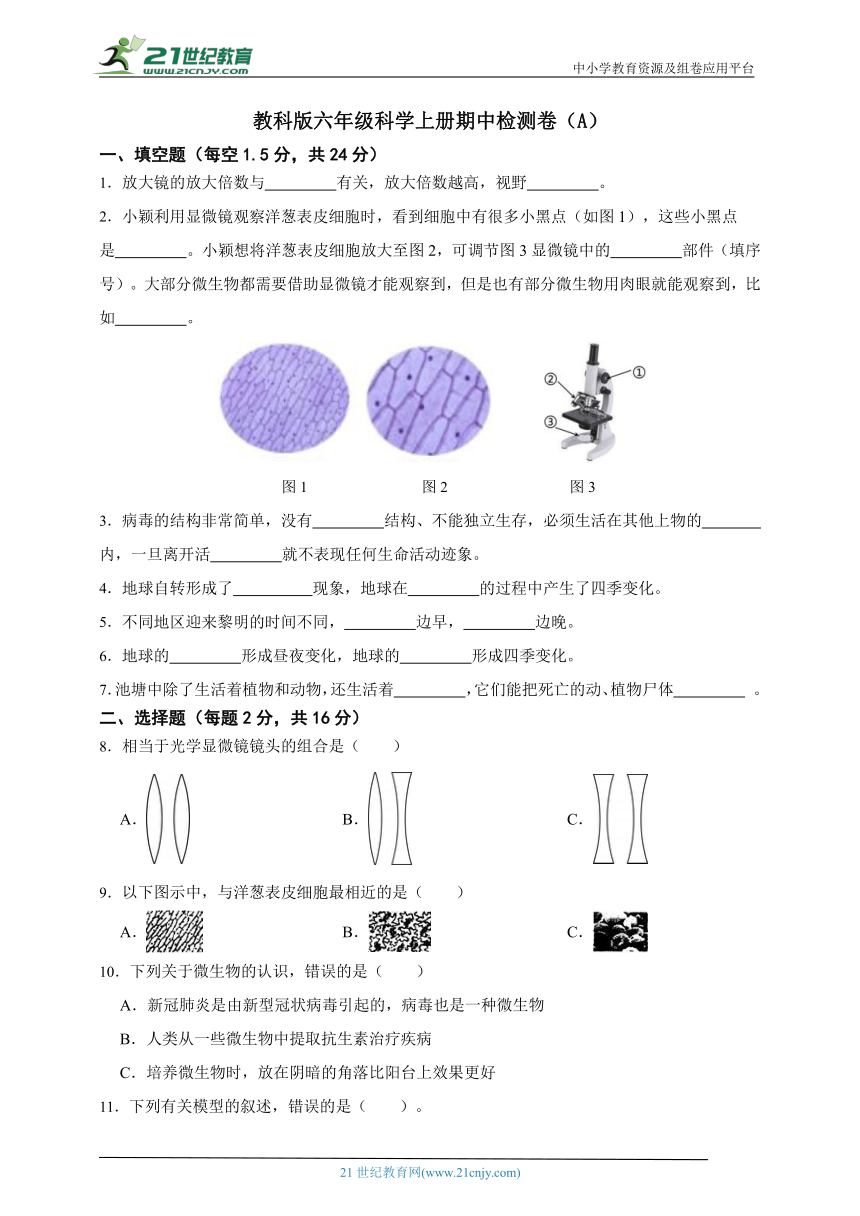 教科版六年级科学上册期中检测卷（A）（含答案）