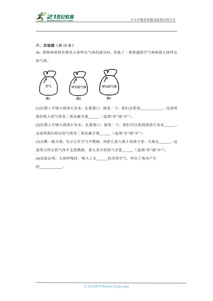 大象版四年级上册科学期末试题（二）（含答案解析）