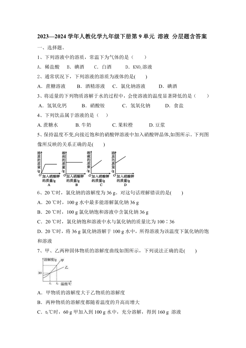 2023—2024学年人教化学九年级下册第九单元 溶液 分层题（含答案）
