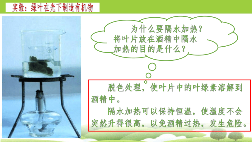 3.4 绿色植物是生物圈中有机物的制造者2023-2024学年七年级生物上册同步精品课件（人教版）(共30张PPT)