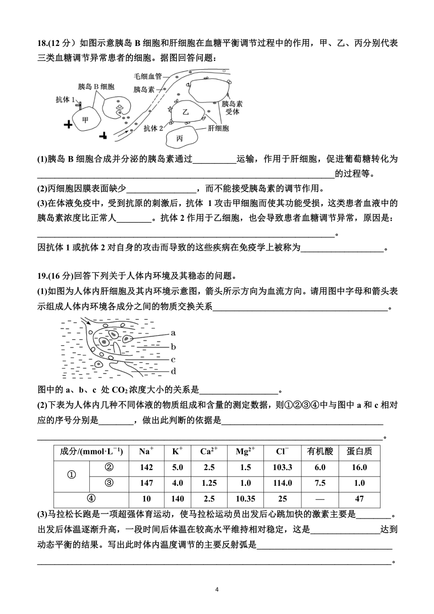 高中生物选择性必修1（综合测试卷）（有解析）—2023-2024学年高二上学期生物选择性必修1（人教版(2019））