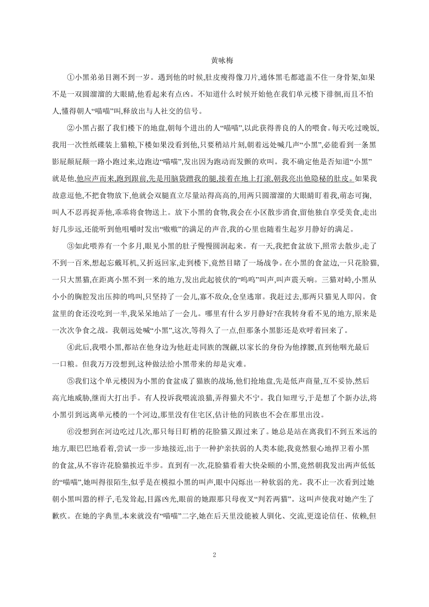 2023-2024学年初中语文部编版七年级上册 课时作业 16 猫（含答案）