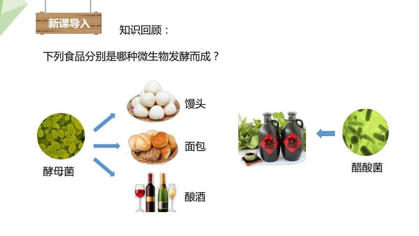 9.25.1 发酵技术 课件 (共24张PPT)2023-2024学年初中生物北师版八年级下册