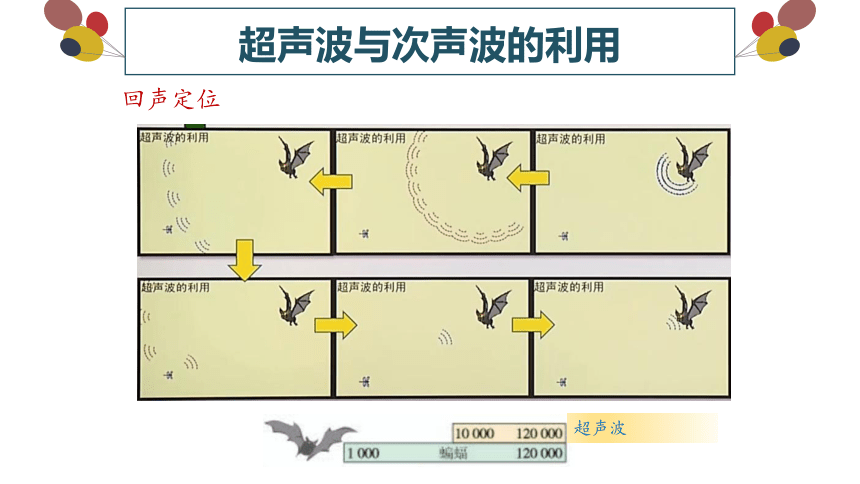 第二章第3节声的利用课件 (共16张PPT)人教版物理八年级上册