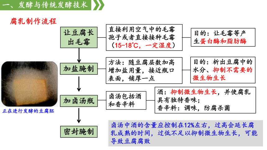 1.1传统发酵技术课件（共51张PPT） 人教版选择性必修三