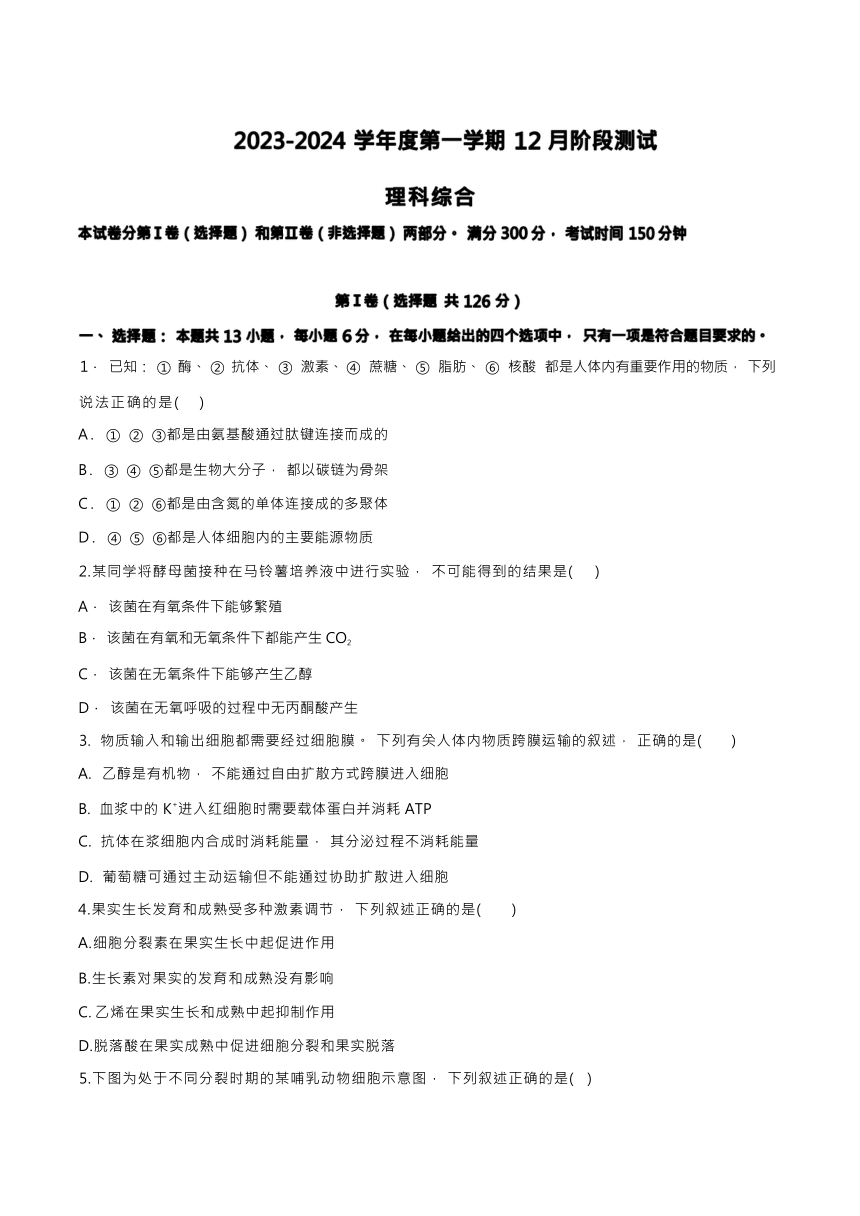 内蒙古自治区赤峰市红山区2023-2024学年高三上学期12月期中理科综合试题（ 含化学答案）