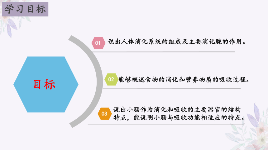 4.9.2 人体的消化与吸收（第二课时）-2023-2024学年七年级生物下册同步精品课堂（苏教版）(共31张PPT)