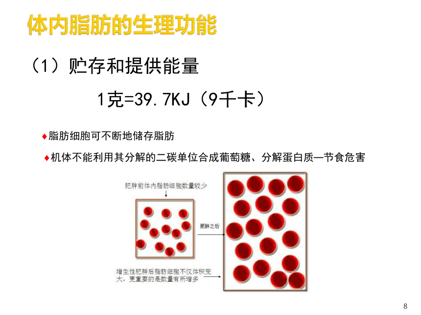 1营养学基础-5脂类 课件(共45张PPT)- 《营养与食品卫生学》同步教学（人卫版·第7版）