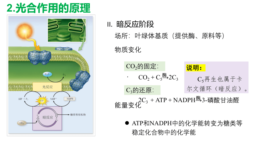 5.4光合作用第3课时 课件(共52张PPT)高中人教版生物必修一