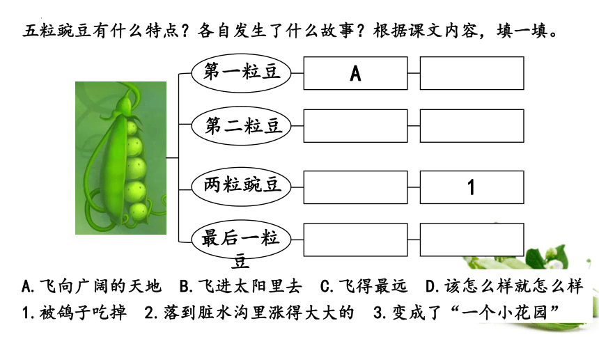 5《一个豆荚里的五粒豆》  课件(共24张PPT)