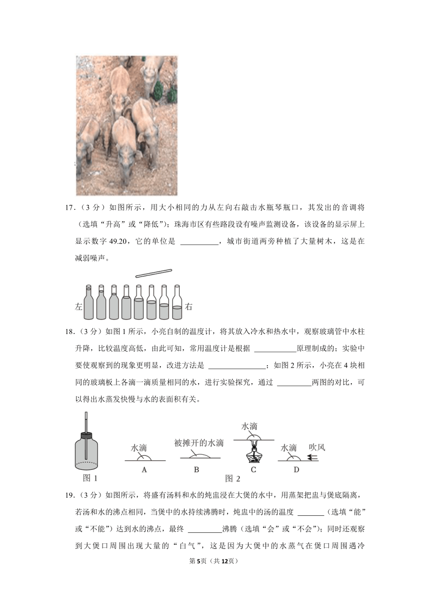 2023-2024学年广东省珠海市凤凰中学八年级（上）竞赛物理试卷（含答案）