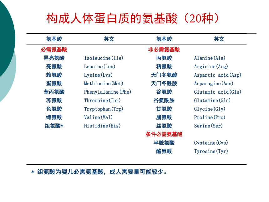 1营养学基础-4蛋白质 课件(共46张PPT)- 《营养与食品卫生学》同步教学（人卫版·第7版）