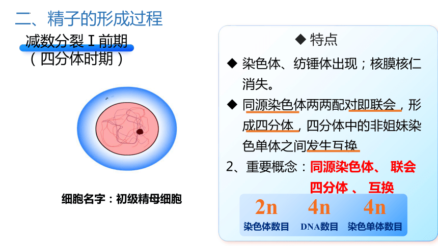 2.1减数分裂和受精作用（第一课时）课件（共38张PPT、1份视频） 人教版必修2