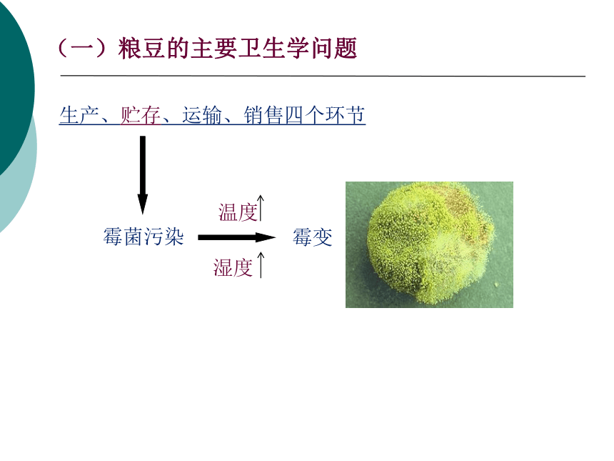 11各类食品卫生及其管理-1 课件(共32张PPT)- 《营养与食品卫生学》同步教学（人卫版·第7版）