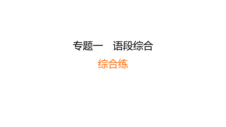 语段综合练-2024年中考语文一轮复习专题课件(共70张PPT)