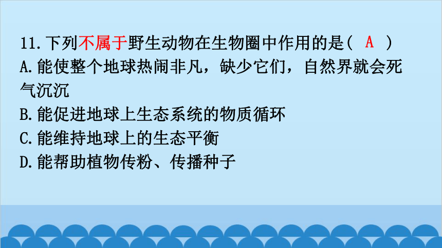 期末过关训练课件(共43张PPT)北师大版生物八年级上册