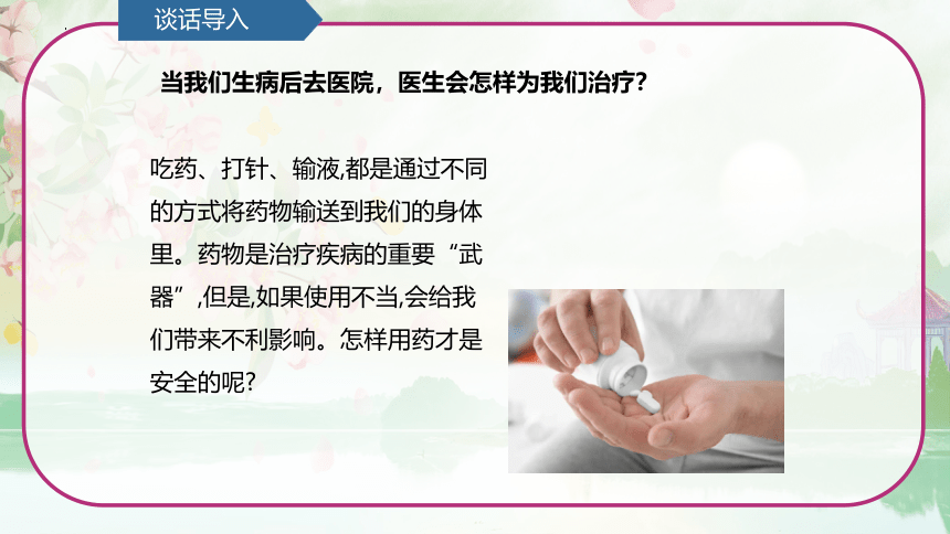 第6单元   防疫与保健 6.4 安全用药《 安全用药》（课件）(共13张PPT) 青岛版六年级科学上册