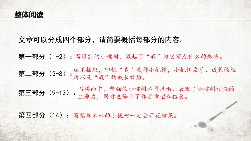 19 一棵小桃树 课件(共22张PPT) 2023-2024学年初中语文部编版七年级下册