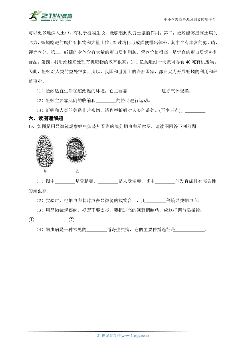 2023年秋期人教版生物八上5.1.2线形动物和环节动物 一课一练（含解析）