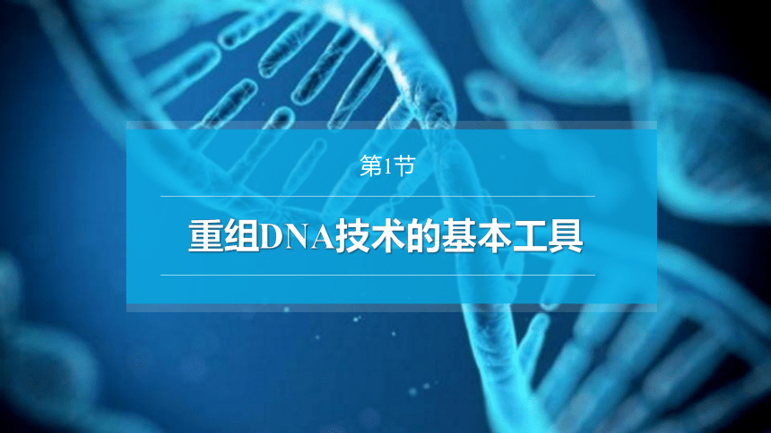 3.1重组DNA技术的基本工具课件(共46张PPT)-2022-2023学年高二下学期生物人教版（2019）选择性必修3
