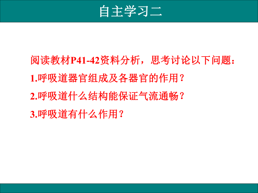 4.3.1呼吸道对空气的处理课件(共20张PPT)初中生物人教版七年级下册