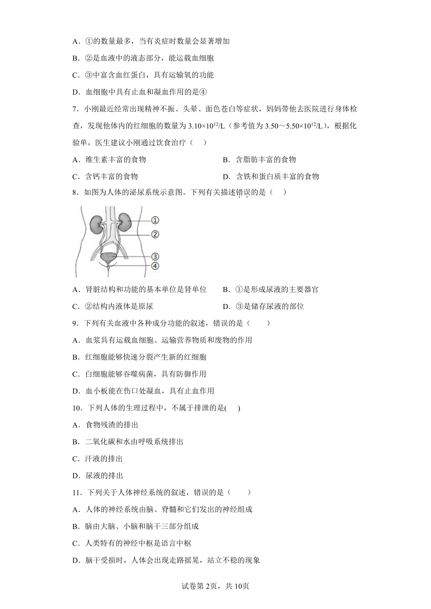 江苏省扬州市江都区2023-2024学年八年级上学期期中生物试卷（含解析）