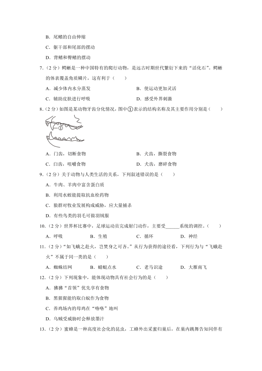 陕西省安康市石泉县2022-2023学年八年级上学期期末生物试卷（含解析）