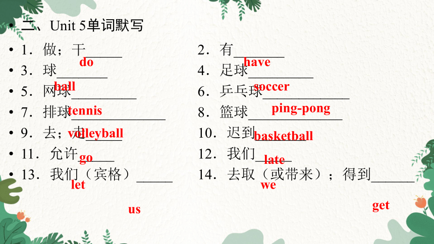 Unit 5 Do you have a soccer ball?  重点单词短语句型练习课件(共10张PPT)