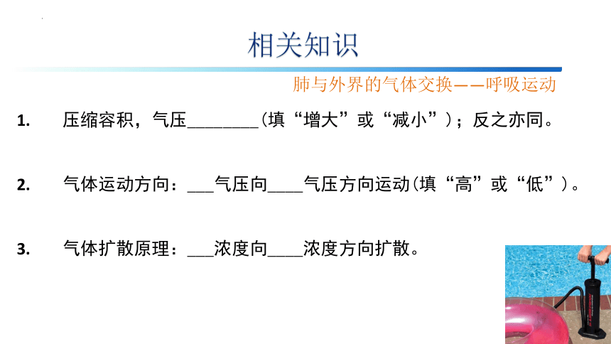 4.3.2发生在肺内的气体交换课件(共15张PPT) 七年级人教版生物下册