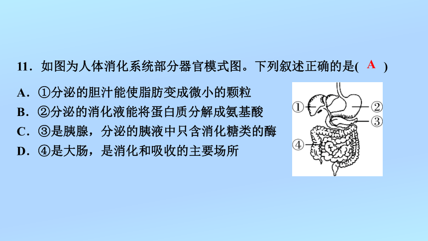 第四单元第8章、第9章综合检测课件(共37张PPT)2023—2024学年北师大版七年级生物下册