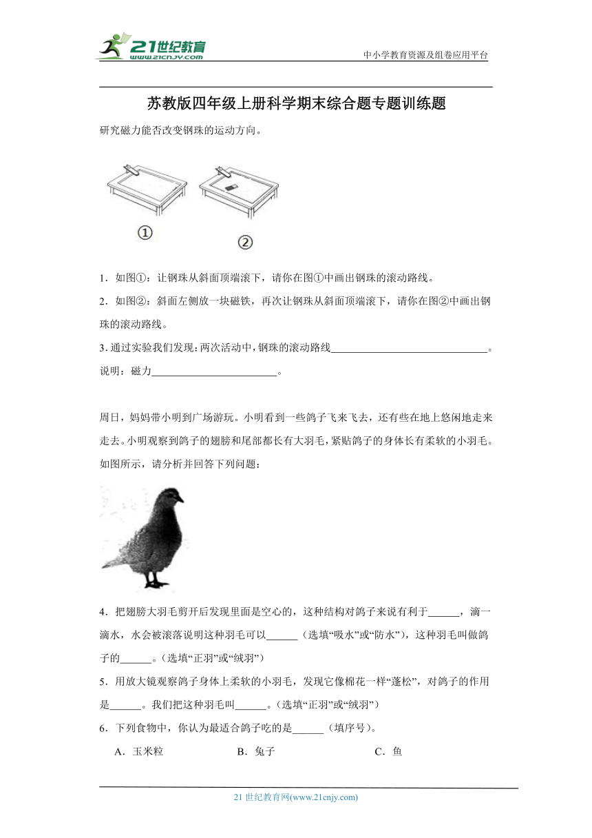 苏教版四年级上册科学期末综合题专题训练题（含答案）