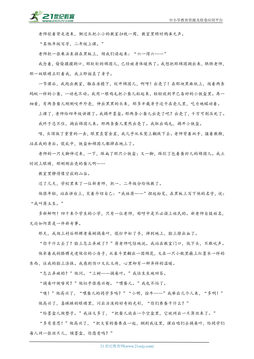 部编版语文八年级上册期末第二单元基础练（含答案）