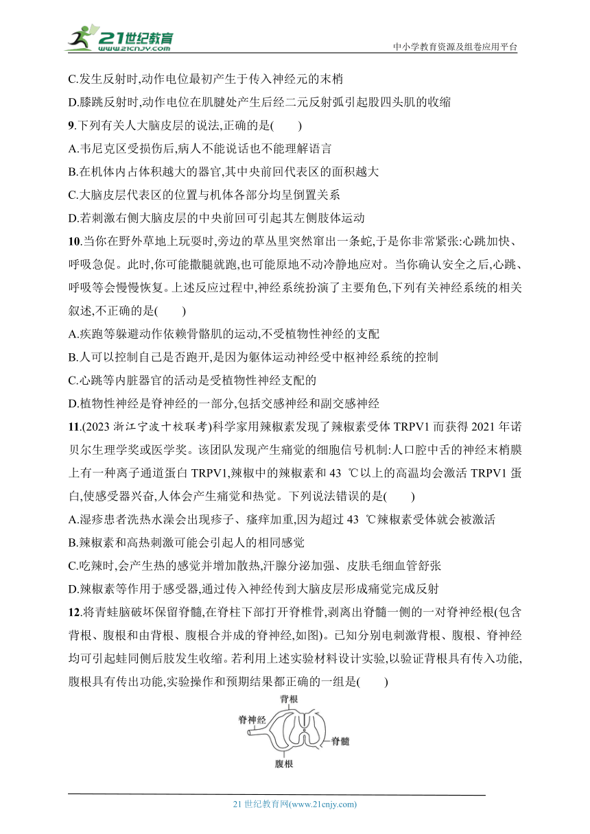 2025浙科版新教材生物学高考第一轮基础练--作业36　神经系统的结构与调节（含解析）