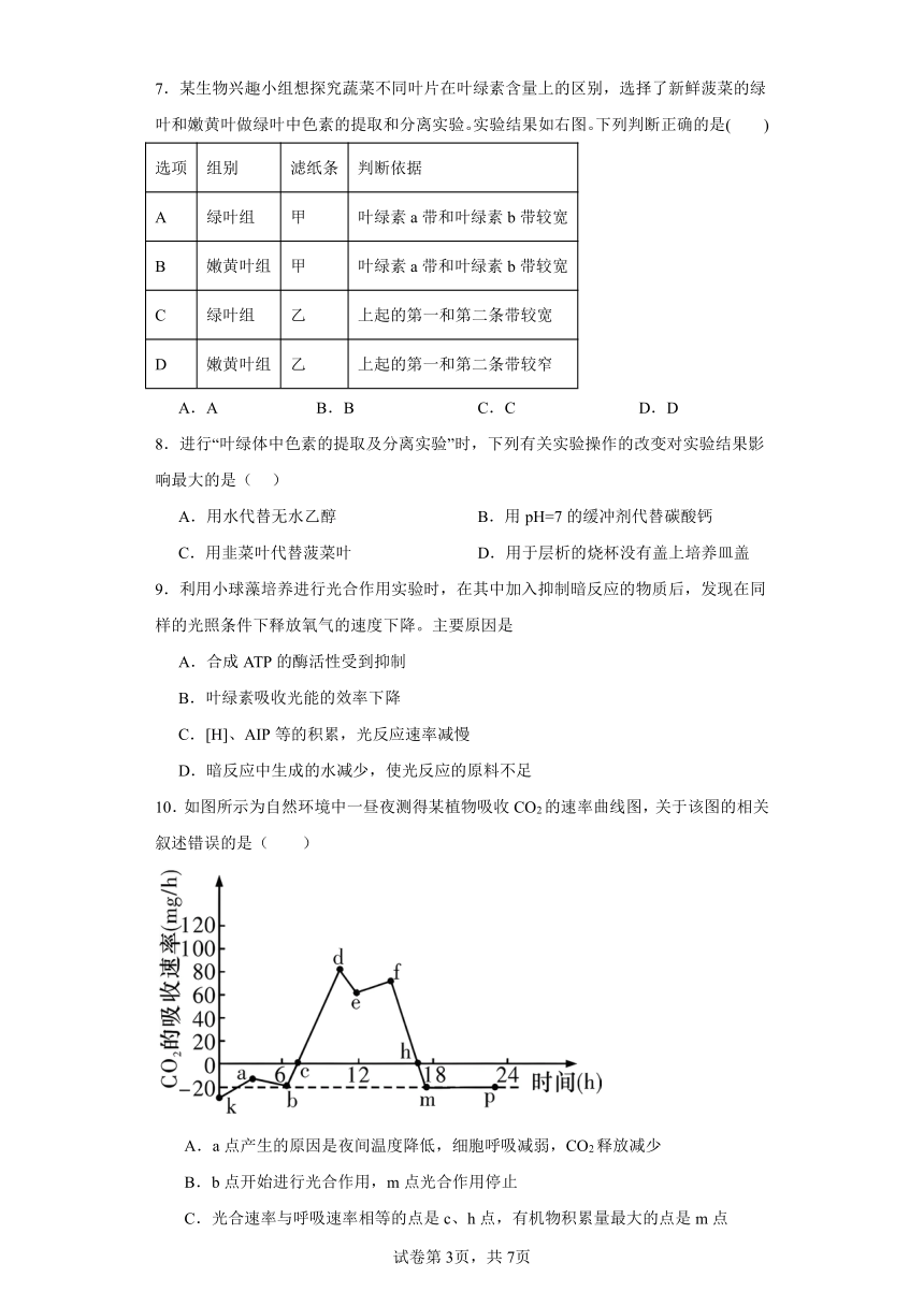 人教版高中生物必修一第5章第4节光合作用与能量转化同步练习（含答案）