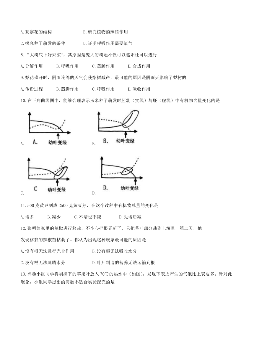 山东省烟台市开发区2022-2023学年六年级下学期期末生物生物试题(无答案)