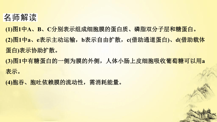 高考生物总复习微专题1 与细胞的物质输入和输出有关的热考题型(课件共25张PPT)