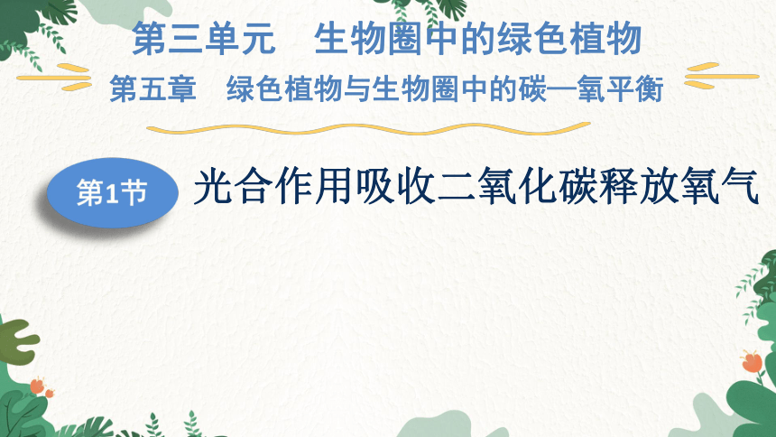 3.5.1 光合作用吸收二氧化碳释放氧气课件(共29张PPT)人教版生物七年级上册