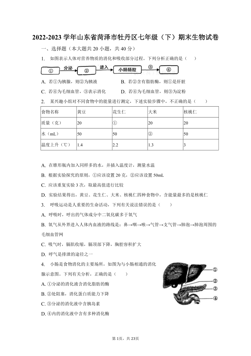 2022-2023学年山东省菏泽市牡丹区七年级（下）期末生物试卷（含解析）