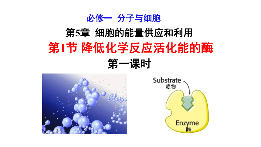 5.1降低化学反应活化能的酶（第一课时）(共30张PPT)高一生物课件（2019人教版必修1）