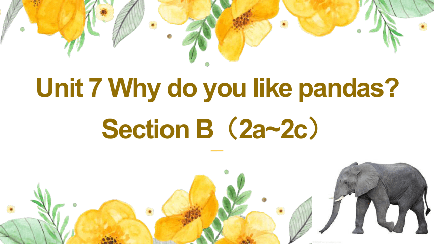 Unit 7 Why do you like pandas？Section B（2a~2c）课件+嵌入音视频(共18张PPT)