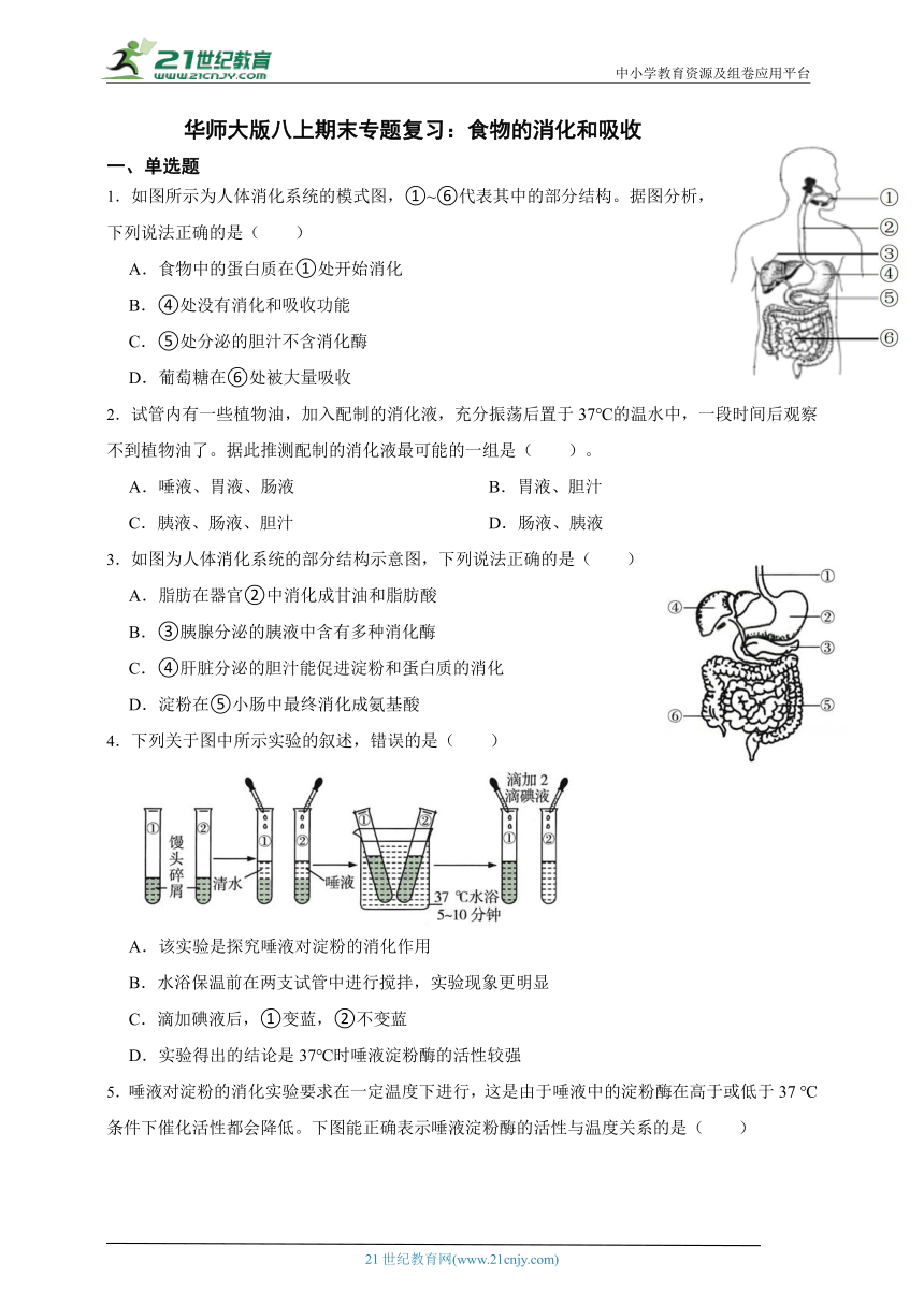 华师大版科学八上期末专题复习：食物的消化和吸收（含答案）