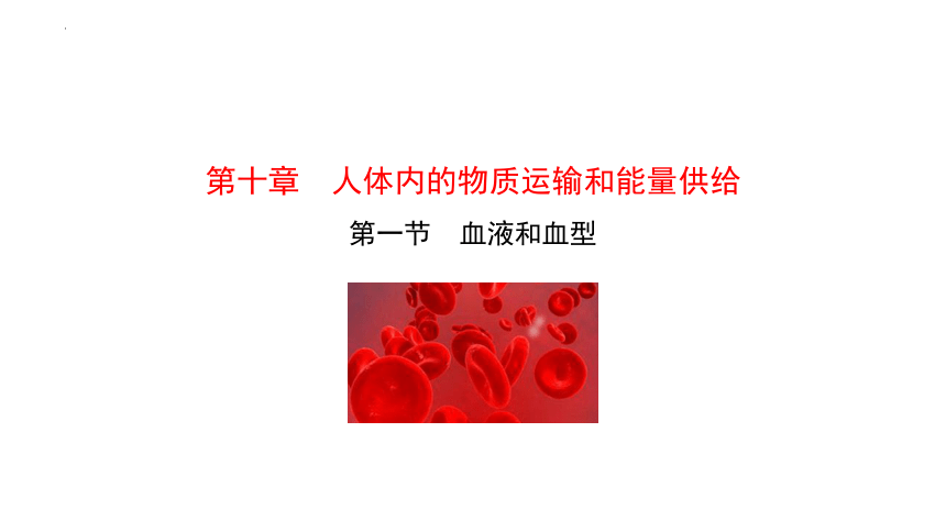 4.10.1血液和血型课件(共19张PPT) 苏教版生物七年级下册