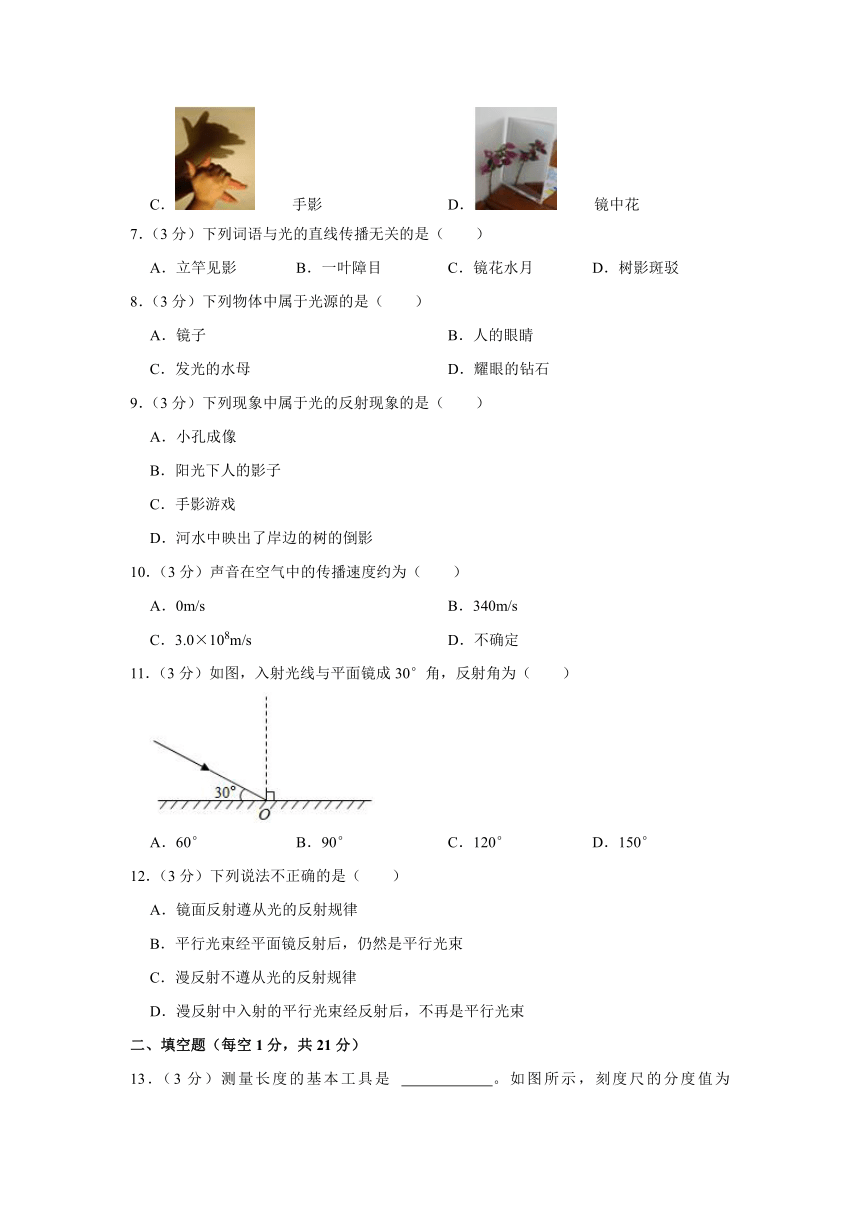 广东省东莞市黄江镇2023-2024学年八年级上学期期中物理试卷（含解析）