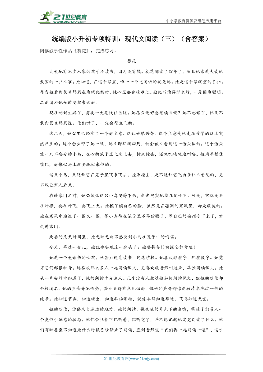 统编版语文小升初专项特训：现代文阅读（三）（含答案）