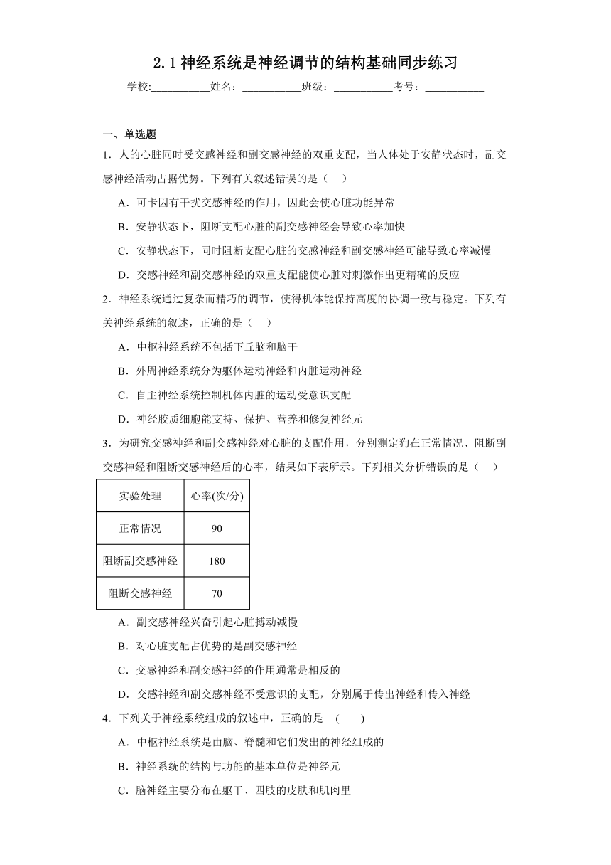 2.1神经系统是神经调节的结构基础同步练习2023-2024学年高二上学期生物浙科版选择性必修1（含答案）