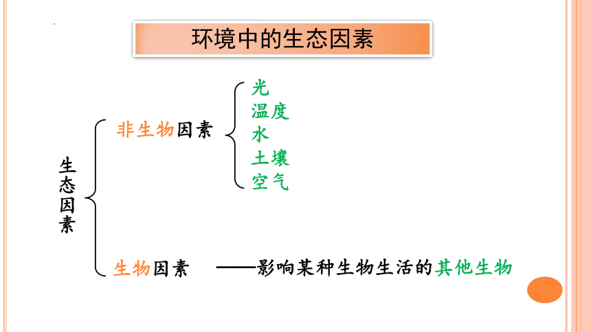 1.2.1生物与环境的关系课件（共32张PPT） 人教版生物七年级上册