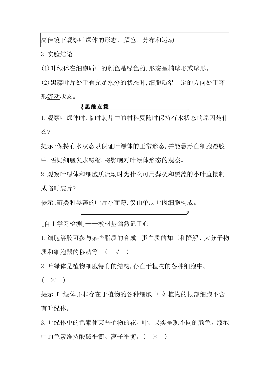 浙科版（2019）生物必修一 第二章第三节课时2　叶绿体、中心体、液泡、细胞溶胶及细胞骨架的结构与功能学案（含解析）