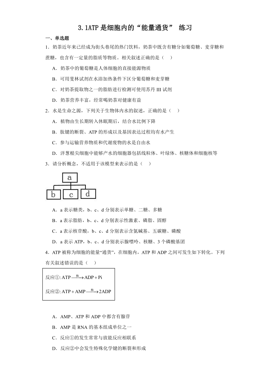 3.1ATP是细胞内的“能量通货” 练习（含解析）